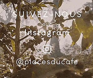 Insta