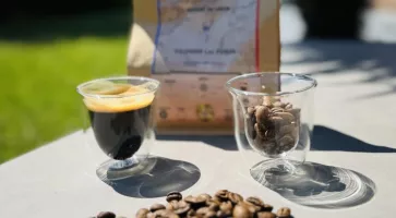 Café de spécialité, quand la saveur rencontre les valeurs