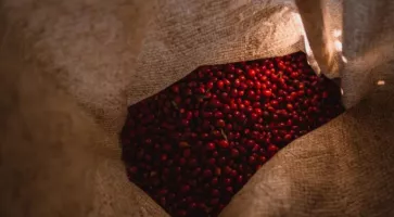 Mais que vient donc faire une cerise dans votre café ?